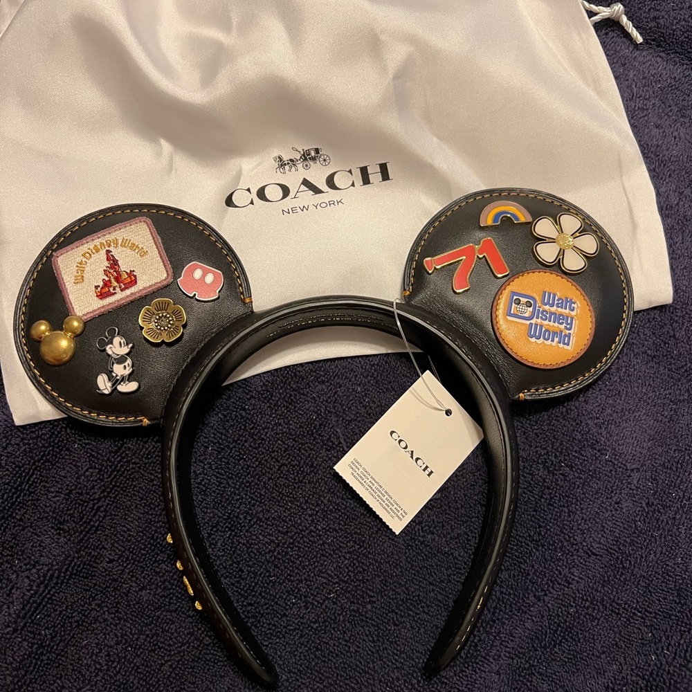 COPY - RARE Disney Coach Ears